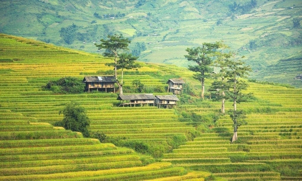 Cambodia | ©Sasin Tipchai