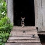 Kaoh Trong, Cambogia | ©2019, Gabriele Orlini