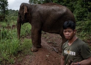 Mahut with his elephant