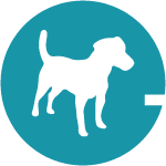 Academy Icon