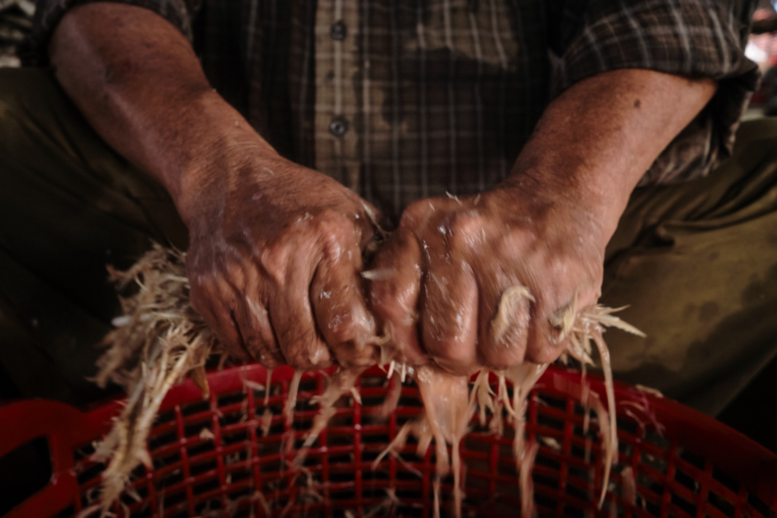 Vinh Long Market - ©Fabio Lovati, 2024