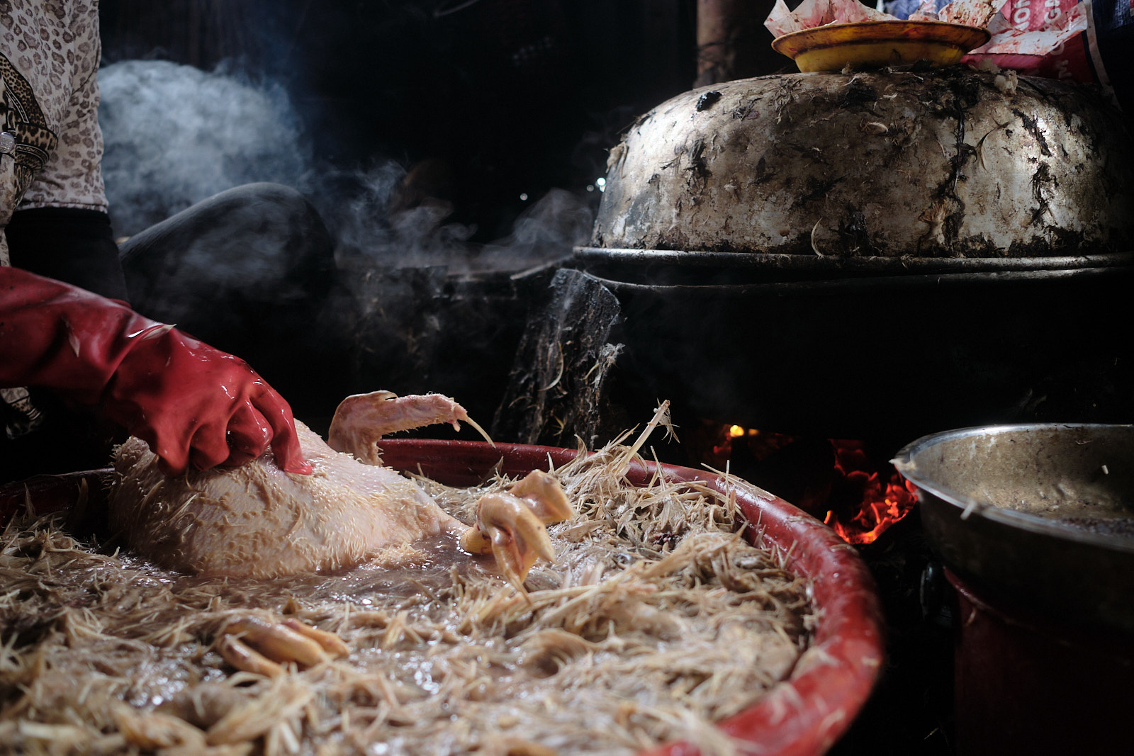 Vinh Long Market - ©Fabio Lovati, 2024