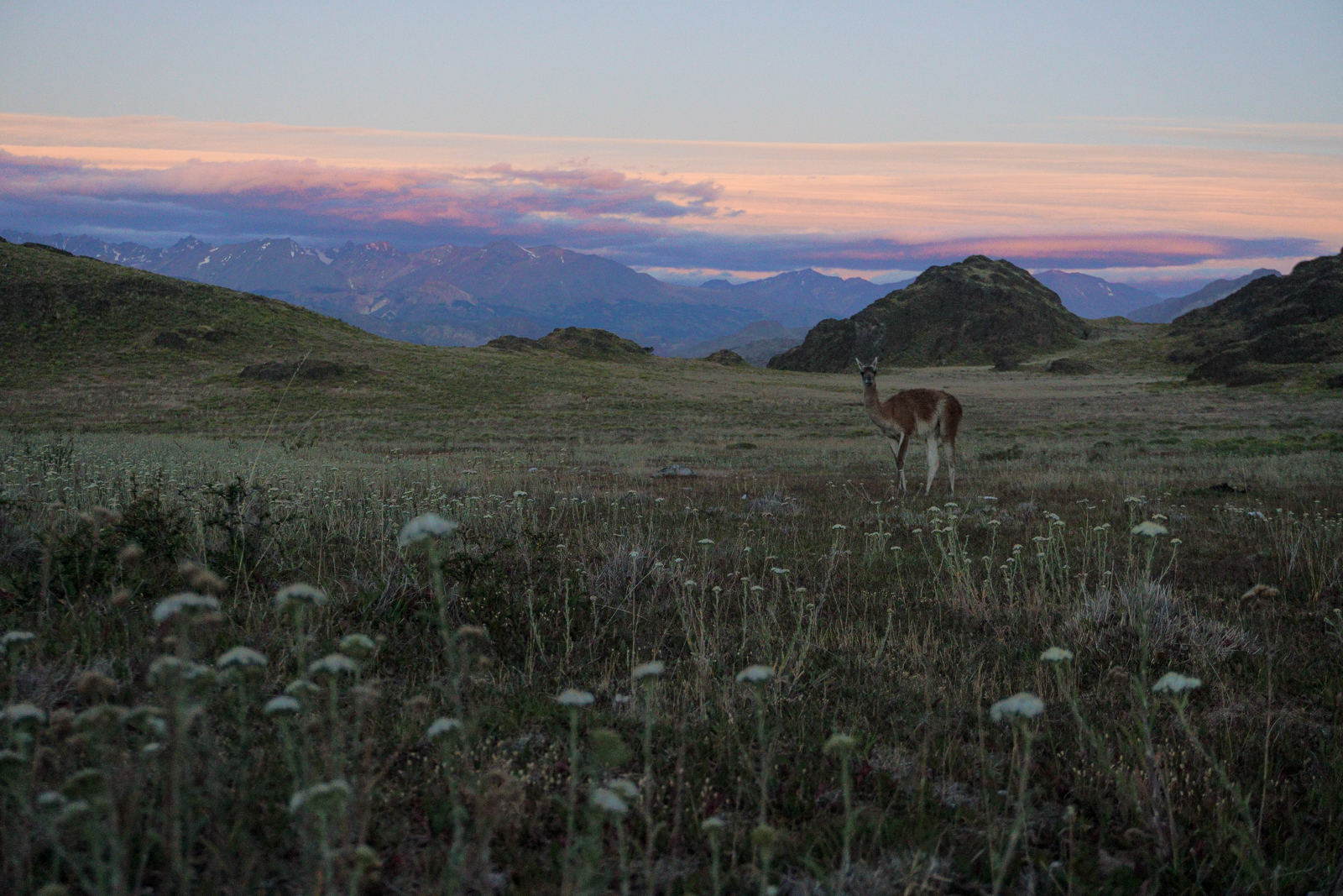 Strade - Elena Casolaro, ©2025